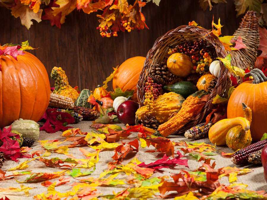 Thanksgiving Day image
