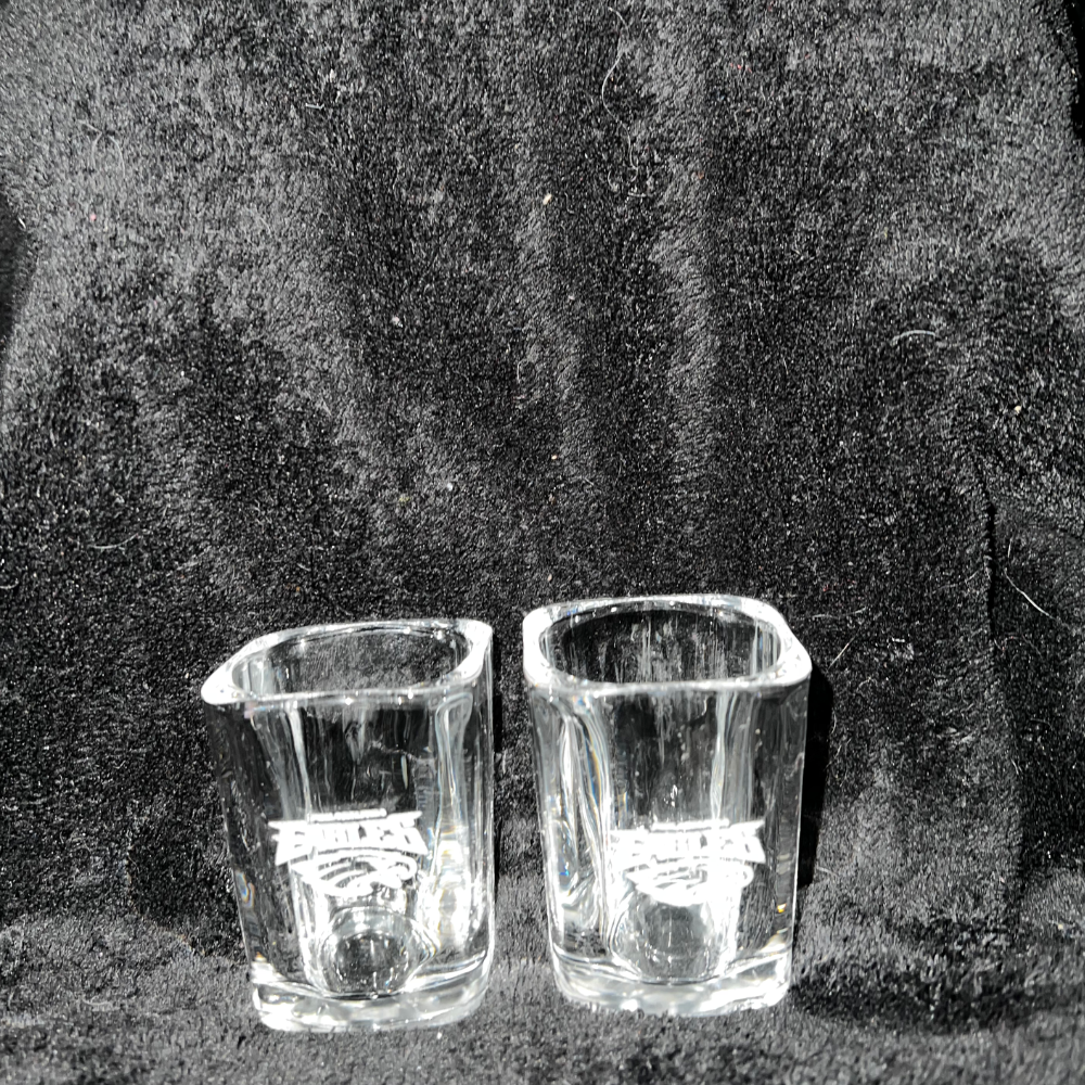 Eagles Shot Glasses